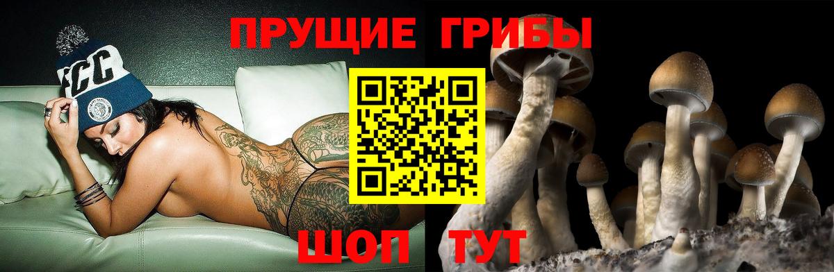 Галлюциногенные грибы прущие грибы  Вход с VPN  Псилоцибиновые грибы Magic Shrooms  Новочебоксарск 